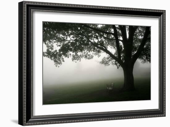 The Bench-PhotoINC-Framed Photographic Print