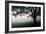 The Bench-PhotoINC-Framed Photographic Print