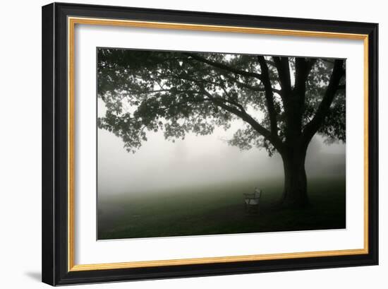 The Bench-PhotoINC-Framed Photographic Print