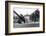 The Berlin Wall, under Construction in August 1961-null-Framed Photographic Print