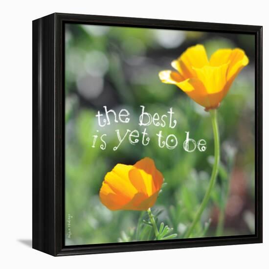 The Best Is Yet to Be-Robbin Rawlings-Framed Stretched Canvas
