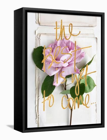 The Best is Yet to Come-Sarah Gardner-Framed Stretched Canvas