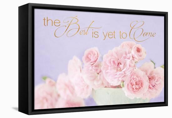 The Best is Yet to Come-Sarah Gardner-Framed Stretched Canvas