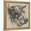 The Best Short-Horned Bull-Harrison William Weir-Framed Premier Image Canvas