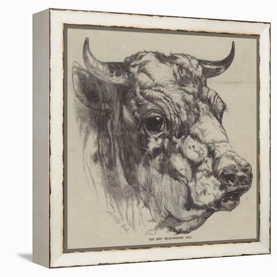 The Best Short-Horned Bull-Harrison William Weir-Framed Premier Image Canvas