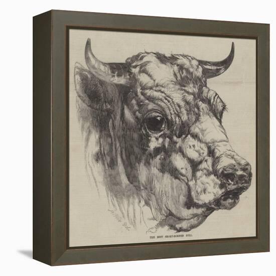 The Best Short-Horned Bull-Harrison William Weir-Framed Premier Image Canvas