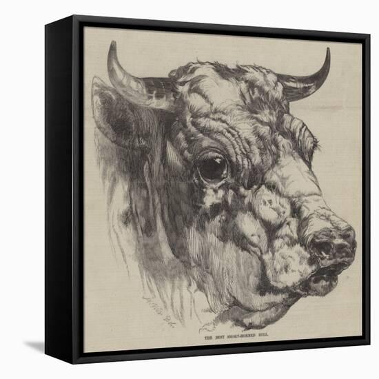 The Best Short-Horned Bull-Harrison William Weir-Framed Premier Image Canvas