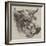 The Best Short-Horned Bull-Harrison William Weir-Framed Giclee Print