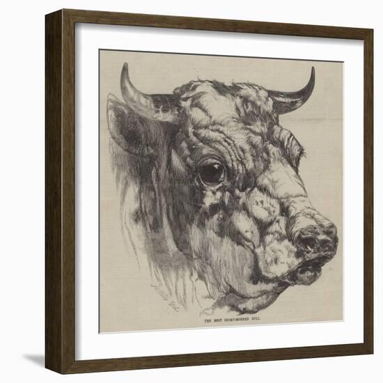 The Best Short-Horned Bull-Harrison William Weir-Framed Giclee Print