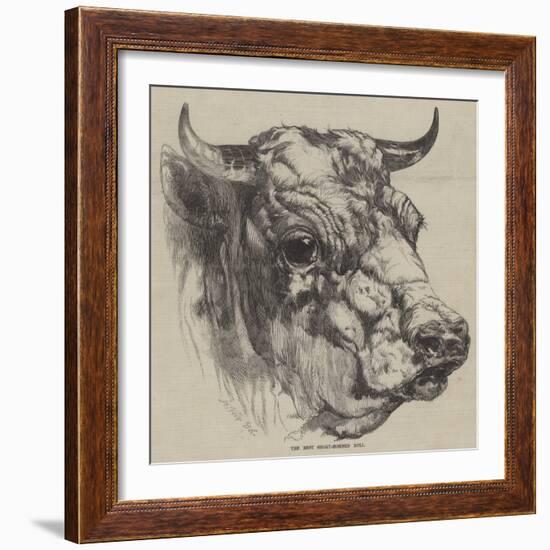 The Best Short-Horned Bull-Harrison William Weir-Framed Giclee Print