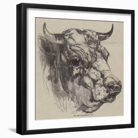 The Best Short-Horned Bull-Harrison William Weir-Framed Giclee Print