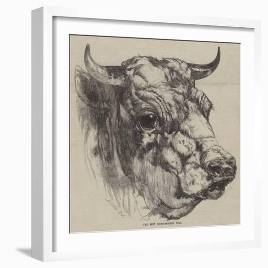 The Best Short-Horned Bull-Harrison William Weir-Framed Giclee Print