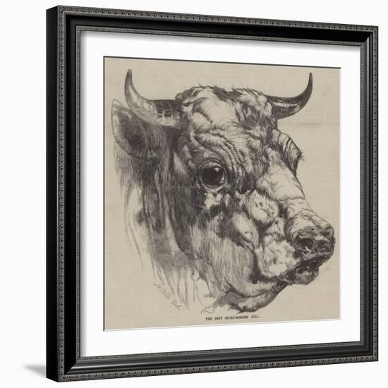 The Best Short-Horned Bull-Harrison William Weir-Framed Giclee Print