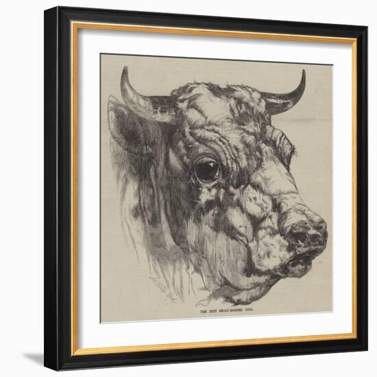 The Best Short-Horned Bull-Harrison William Weir-Framed Giclee Print