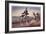 The (Bicycle) Velocipede-Currier & Ives-Framed Giclee Print