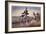 The (Bicycle) Velocipede-Currier & Ives-Framed Giclee Print