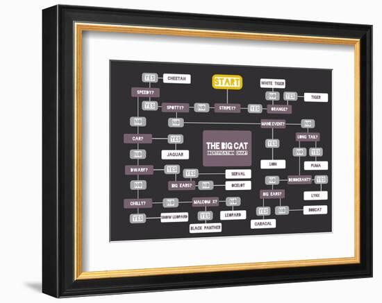 The Big Cat Identification Chart-Stephen Wildish-Framed Art Print