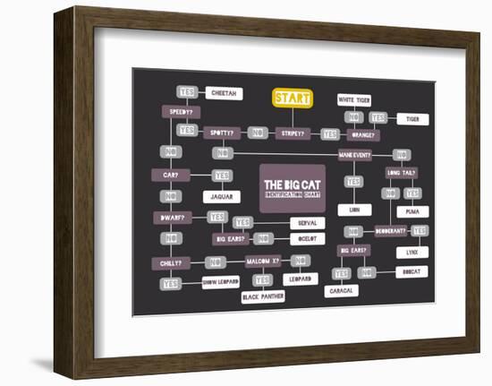 The Big Cat Identification Chart-Stephen Wildish-Framed Art Print