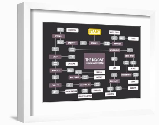 The Big Cat Identification Chart-Stephen Wildish-Framed Art Print