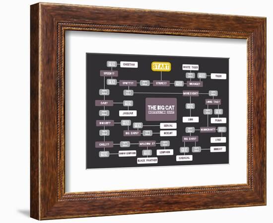 The Big Cat Identification Chart-Stephen Wildish-Framed Giclee Print