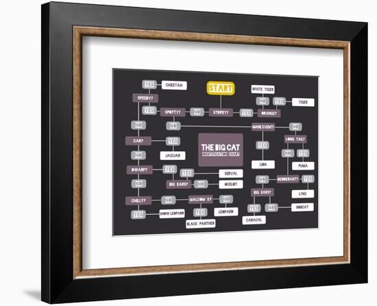 The Big Cat Identification Chart-Stephen Wildish-Framed Giclee Print