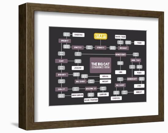 The Big Cat Identification Chart-Stephen Wildish-Framed Giclee Print