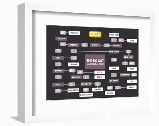 The Big Cat Identification Chart-Stephen Wildish-Framed Giclee Print