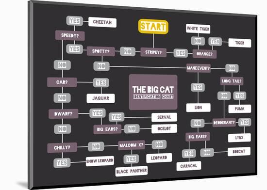 The Big Cat Identification Chart-Stephen Wildish-Mounted Giclee Print
