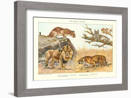 The Big Cats-null-Framed Art Print