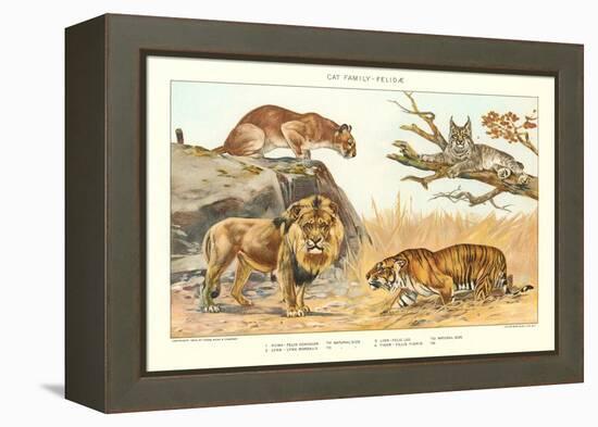 The Big Cats-null-Framed Stretched Canvas