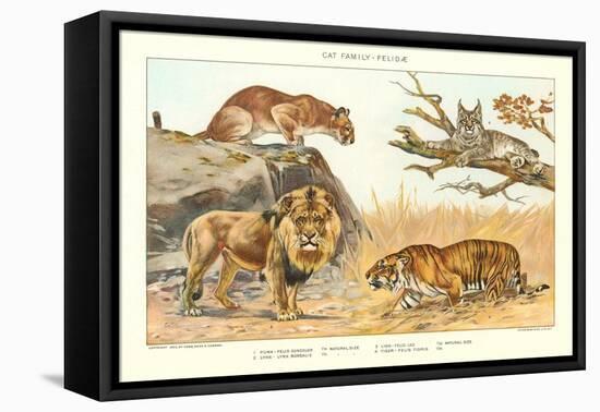The Big Cats-null-Framed Stretched Canvas