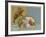 The Big Dipper or the Plough-null-Framed Giclee Print