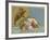 The Big Dipper or the Plough-null-Framed Giclee Print