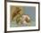 The Big Dipper or the Plough-null-Framed Giclee Print