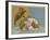 The Big Dipper or the Plough-null-Framed Giclee Print