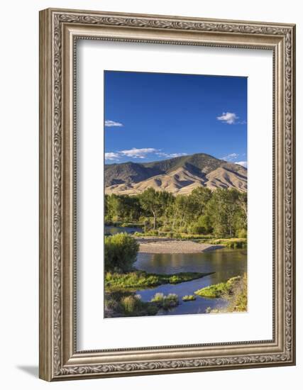 The Big Hole River Near Glen, Montana, USA-Chuck Haney-Framed Photographic Print