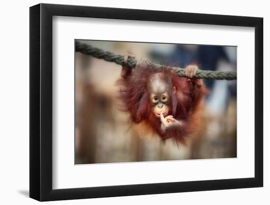 The Big Query-Antje Wenner-Braun-Framed Photographic Print