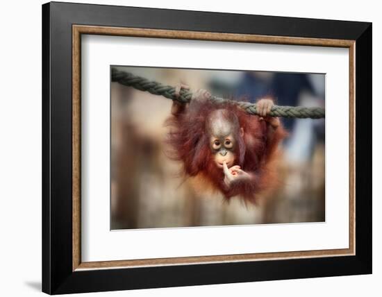 The Big Query-Antje Wenner-Braun-Framed Photographic Print