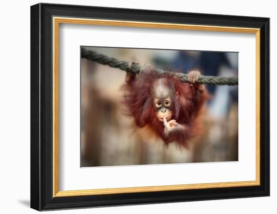 The Big Query-Antje Wenner-Braun-Framed Photographic Print