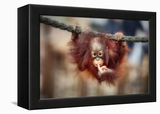 The Big Query-Antje Wenner-Braun-Framed Premier Image Canvas