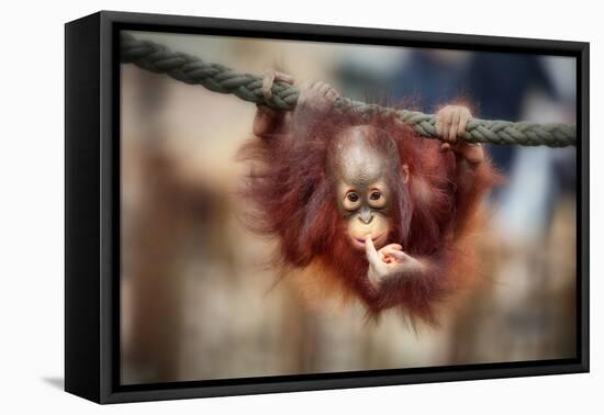 The Big Query-Antje Wenner-Braun-Framed Premier Image Canvas