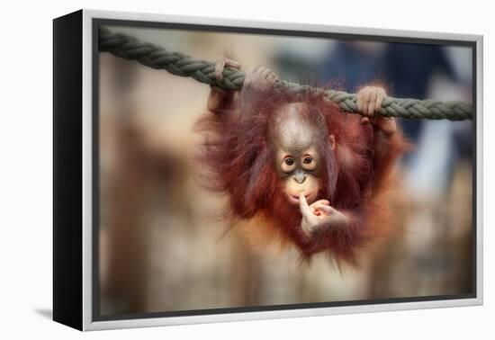 The Big Query-Antje Wenner-Braun-Framed Premier Image Canvas