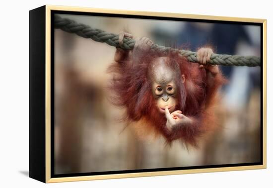 The Big Query-Antje Wenner-Braun-Framed Premier Image Canvas