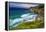 The Big Sur Coast at Rocky Point, Big Sur, California, Usa-Russ Bishop-Framed Premier Image Canvas