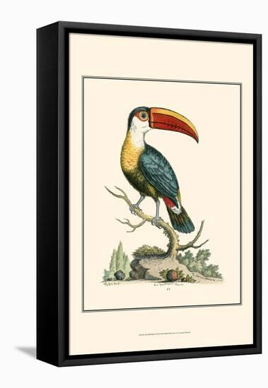 The Bill Bird-George Edwards-Framed Stretched Canvas