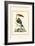 The Bill Bird-George Edwards-Framed Art Print