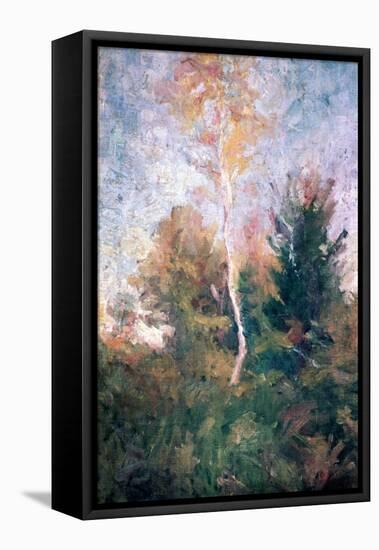 The Birch, C1889-1943-Rihard Jakopic-Framed Premier Image Canvas