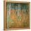 The Birch Wood, 1903-Gustav Klimt-Framed Premier Image Canvas
