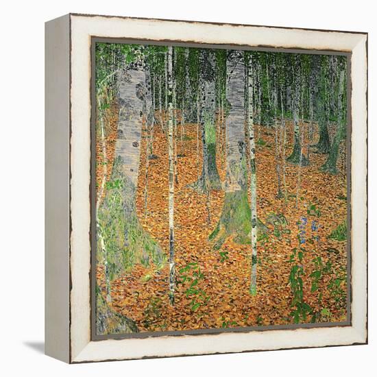 The Birch Wood, 1903-Gustav Klimt-Framed Premier Image Canvas