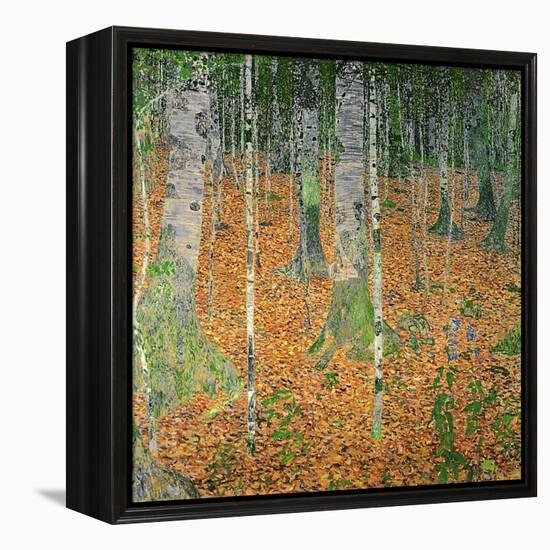 The Birch Wood, 1903-Gustav Klimt-Framed Premier Image Canvas